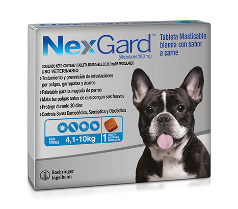 NexGard™ 4,1-10 kg Tableta masticable para perros