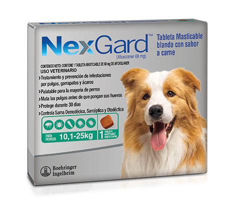 NexGard™ 10,1-25 kg Tableta masticable para perros