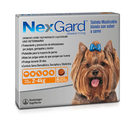 NexGard™ 2-4 kg Tableta masticable para perros