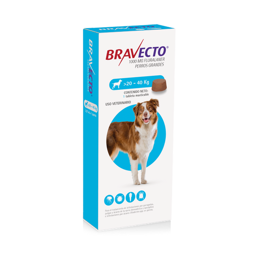 Bravecto® 20 - 40 kg – Tabletas antipulgas para perros