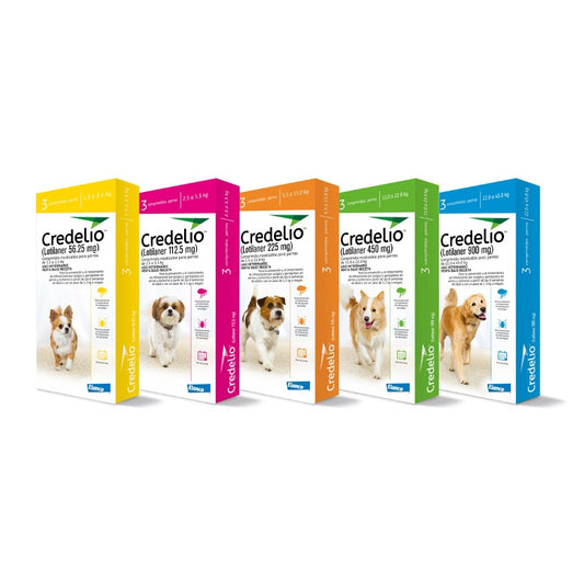 Credelio™ (lotilaner) perros